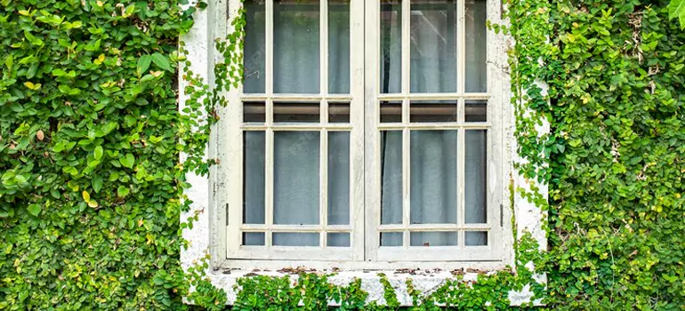 Garden Window Repair Near Me in South San Francisco, CA